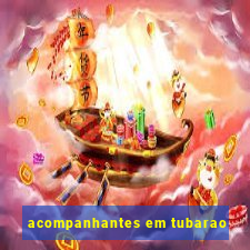 acompanhantes em tubarao