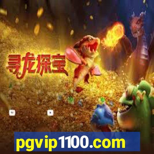 pgvip1100.com