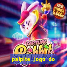 palpite jogo do bicho coruja