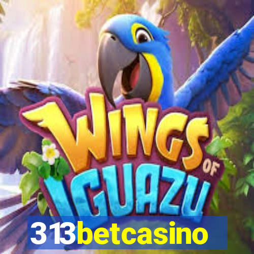 313betcasino