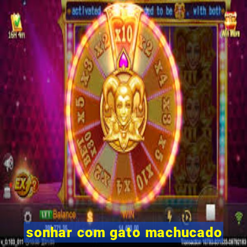 sonhar com gato machucado