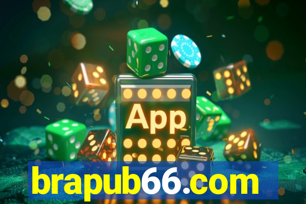 brapub66.com