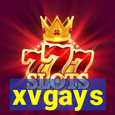 xvgays