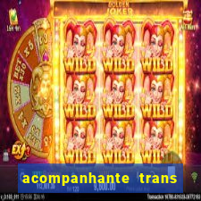 acompanhante trans de santos